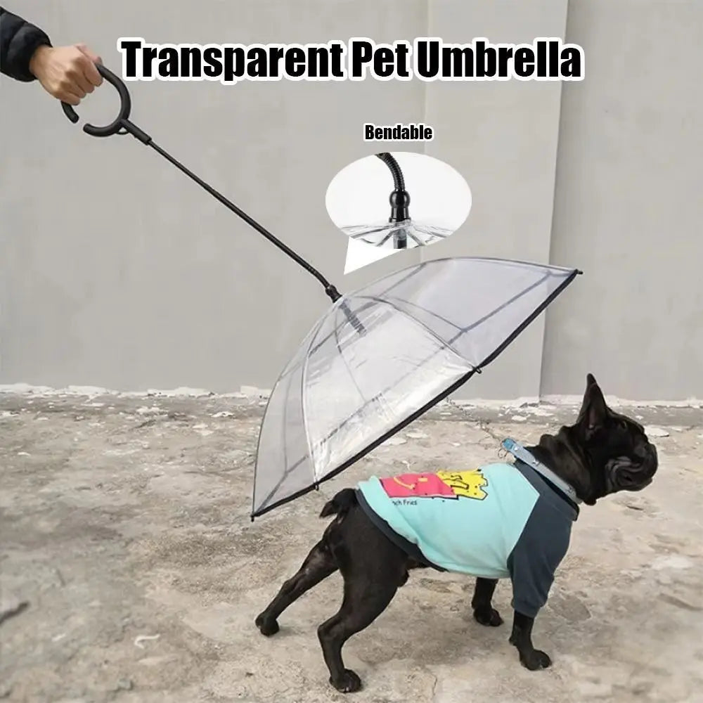 Clear C Handle Dog Rain Umbrella