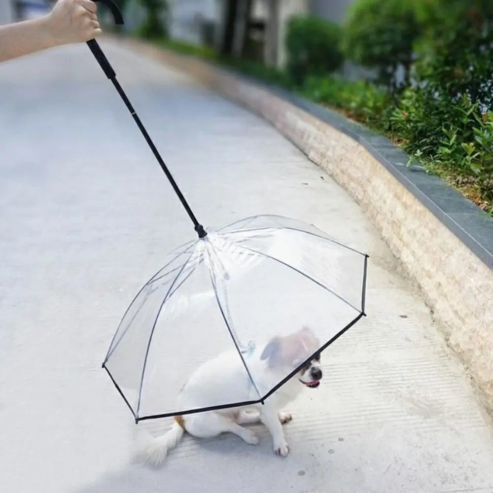Clear C Handle Dog Rain Umbrella